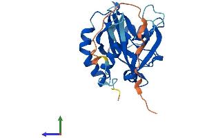 Protein Structure (PS) image for Nudix Hydrolase 8 (NUDT8) (AA 1-236) protein (His tag) (ABIN7550037)
