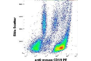 Flow cytometry surface staining pattern of murine peritoneal fluid cells stained using anti-mouse CD19 (1D3) PE antibody (concentration in sample 1 μg/mL).