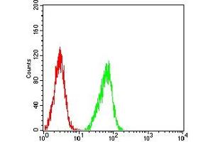 Flow cytometric analysis of Hela cells using SP10 mouse mAb (green) and negative control (red). (ACRV1 antibody  (AA 22-265))