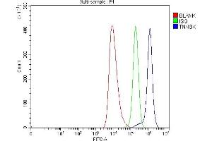 Flow Cytometry analysis of HEL cells using anti-TNNI3K antibody (ABIN7599644).