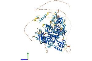 AlphaFold protein structure predicition of Mouse Recombinant Tdrd1 Protein, UniprotID Q99MV1