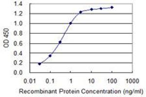 Detection limit for recombinant GST tagged S100B is 0. (S100B antibody  (AA 1-92))
