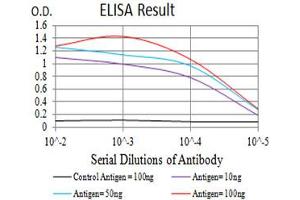 Black line: Control Antigen (100 ng),Purple line: Antigen (10 ng), Blue line: Antigen (50 ng), Red line:Antigen (100 ng) (CHRND antibody  (AA 22-245))