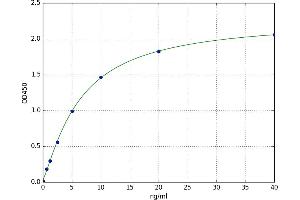 Myosin, Light Chain 3 (MYL3) ELISA Kit