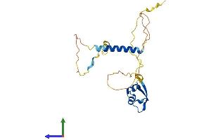 Protein Structure (PS) image for LysM, Putative Peptidoglycan-Binding, Domain Containing 1 (LYSMD1) (AA 1-226) protein (His tag) (ABIN7560830)