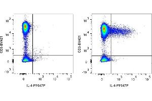 Detection of IL-4 by flow cytometry in viable human lymphocytes. (IL-4 antibody  (PromoFluor 647 Premium))