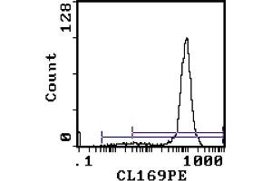 Flow Cytometry Analysis - Cell Source: Thymus Percentage of cells stained above control: 93. (CD8 antibody  (PE))