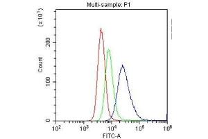 Flow Cytometry analysis of U937 cells using anti-CD33 antibody . (CD33 antibody  (AA 18-259))