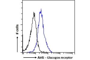 ABIN334409 Flow cytometric analysis of paraformaldehyde fixed HeLa cells (blue line), permeabilized with 0. (Glucagon Receptor antibody  (Internal Region))