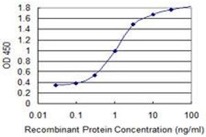 Detection limit for recombinant GST tagged ANXA2 is 0. (Annexin A2 antibody  (AA 186-268))