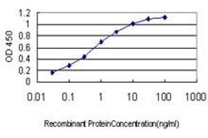 Detection limit for recombinant GST tagged EPHA3 is approximately 0. (EPH Receptor A3 antibody  (AA 202-326))