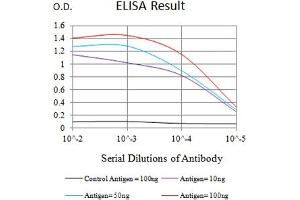 Black line: Control Antigen (100 ng),Purple line: Antigen (10 ng), Blue line: Antigen (50 ng), Red line:Antigen (100 ng) (ATG4A antibody  (AA 258-398))