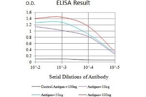 Black line: Control Antigen (100 ng),Purple line: Antigen (10 ng), Blue line: Antigen (50 ng), Red line:Antigen (100 ng) (ATG4A antibody  (AA 258-398))