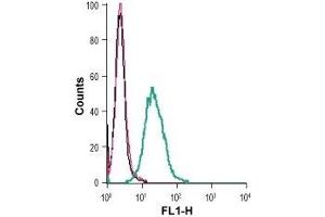 Cell surface detection of KCNN4 in live intact mouse J774 macrophage cells: (black line) Cells.