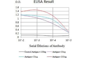 Black line: Control Antigen (100 ng),Purple line: Antigen (10 ng), Blue line: Antigen (50 ng), Red line:Antigen (100 ng) (PIGR antibody  (AA 19-170))