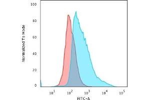 Flow Cytometric Analysis of PFA-fixed MCF-7 cells using Topo I, MT Mouse Monoclonal Antibody (TOP1MT/488) followed by Goat anti-Mouse IgG-CF488 (Blue); Isotype Control (Red). (TOP1MT antibody)