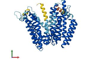 Protein Structure (PS) image for RFT1 Homolog (RFT1) (AA 1-541) protein (His tag) (ABIN7559121)