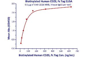 Immobilized Anti-CD28 MAb, Mouse IgG1 at 5μg/mL (100 μL/well) can bind Biotinylated Human CD28, Fc Tag  with a linear range of 2. (CD28 Protein (CD28) (AA 19-152) (Fc Tag,AVI tag,Biotin))