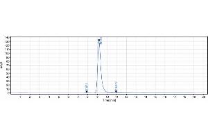 The purity of Anti-IGF1R / CD221 Reference Antibody (figitumumab) is 99. (Recombinant IGF1R (Figitumumab Biosimilar) antibody)