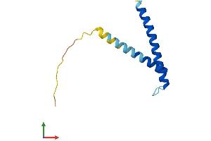 Protein Structure (PS) image for Translocase of Inner Mitochondrial Membrane 13 Homolog (TIMM13) (AA 1-95) protein (His tag) (ABIN7556597)