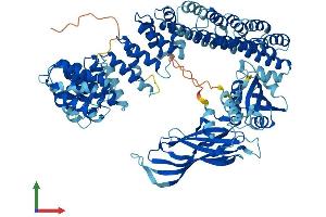 AlphaFold protein structure predicition of Mouse Recombinant Copg1 Protein, UniprotID Q9QZE5 (COPG Protein (AA 1-874) (His tag))