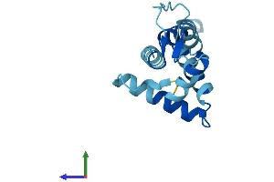 AlphaFold protein structure predicition of Mouse Recombinant Efcab10 Protein, UniprotID Q9D581 (EFCAB10 Protein (AA 1-132) (His tag))