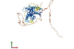 AlphaFold protein structure predicition of Human Recombinant APOBEC4 Protein, UniprotID Q8WW27 (APOBEC4 Protein (AA 1-367) (His tag))