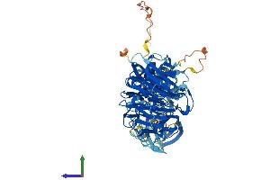 AlphaFold protein structure predicition of Human Recombinant NEK8 Protein, UniprotID Q86SG6 (NEK8 Protein (AA 1-692) (His tag))