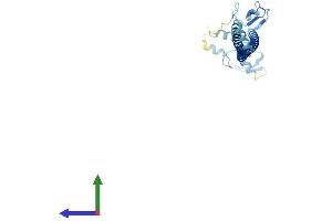 Protein Structure (PS) image for Tripartite Motif Containing 74 (TRIM74) (AA 1-250) protein (His tag) (ABIN7544774)