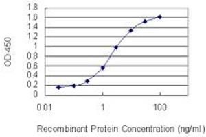 Detection limit for recombinant GST tagged GPRC5D is 0. (GPRC5D antibody  (AA 261-345))