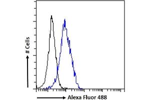 (ABIN185503) Flow cytometric analysis of paraformaldehyde fixed U2OS cells (blue line), permeabilized with 0. (BRSK2 antibody  (Internal Region))