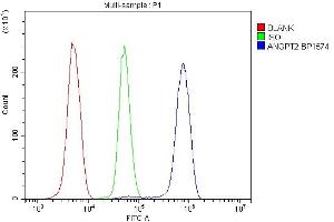 Flow Cytometry analysis of U937 cells using anti-ANGPT2 antibody (ABIN7601450). (Angiopoietin 2 antibody  (AA 357-404))