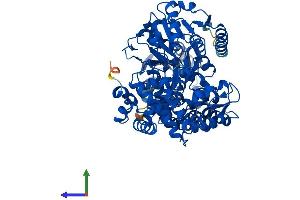 AlphaFold protein structure predicition of Human Recombinant EHHADH Protein, UniprotID Q08426 (EHHADH Protein (AA 1-723) (His tag))