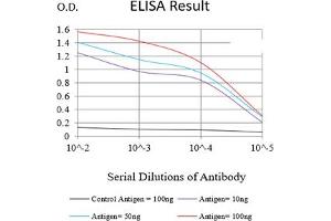 Black line: Control Antigen (100 ng),Purple line: Antigen (10 ng), Blue line: Antigen (50 ng), Red line:Antigen (100 ng) (PAX2A antibody  (AA 194-304))