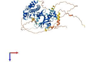 AlphaFold protein structure predicition of Mouse Recombinant Gm7168 Protein, UniprotID A0AUV4 (Gm7168 Protein (AA 1-508) (His tag))