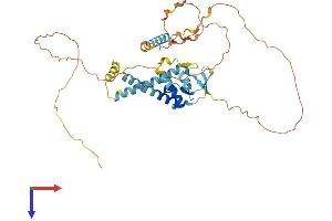 AlphaFold protein structure predicition of Human Recombinant FAM8A1 Protein, UniprotID Q9UBU6 (FAM8A1 Protein (AA 1-413) (His tag))