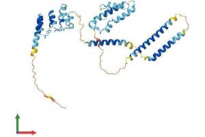 Protein Structure (PS) image for Nuclear Factor of kappa Light Polypeptide Gene Enhancer in B-Cells Inhibitor-Like 1 (NFKBIL1) (AA 1-381) protein (His tag) (ABIN7548562)