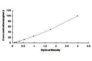 ELISA image for Ferritin, Light Polypeptide (FTL) ELISA Kit (ABIN426226)