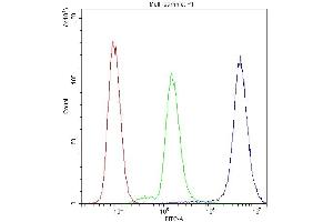 Flow Cytometry analysis of SiHa cells using anti-PPP1R12A antibody (ABIN3043902). (PPP1R12A antibody  (N-Term))