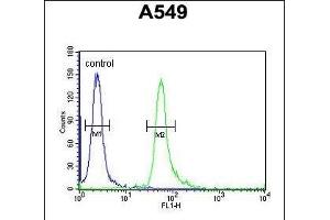 TAG Antibody (Center) 10962c flow cytometric analysis of A549 cells (right histogram) compared to a negative control cell (left histogram). (TAGAP antibody  (AA 103-129))