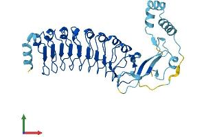 AlphaFold protein structure predicition of Human Recombinant LRRC69 Protein, UniprotID Q6ZNQ3