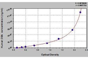 C8A ELISA Kit