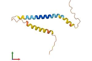 AlphaFold protein structure predicition of Mouse Recombinant Rprm Protein, UniprotID Q9JJ72 (Reprimo Protein (RPRM) (AA 1-109) (His tag))