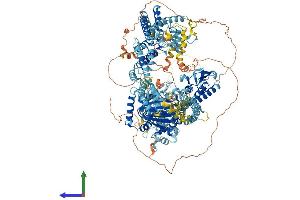 Protein Structure (PS) image for Lysine (K)-Specific Demethylase 5C (KDM5C) (AA 1-1560) protein (His tag) (ABIN7554361)