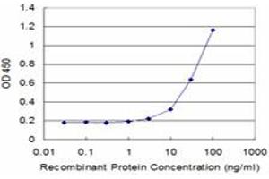 Detection limit for recombinant GST tagged FH is approximately 3ng/ml as a capture antibody. (FH antibody  (AA 33-510))
