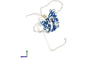 AlphaFold protein structure predicition of Human Recombinant USP17L11 Protein, UniprotID C9JVI0 (USP17L11 Protein (AA 1-530) (His tag))