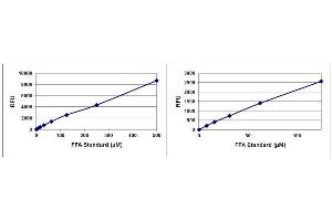 Free Fatty Acid Assay Standard Curve. (Free Fatty Acid Assay Kit (Fluorometric))