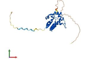 AlphaFold protein structure predicition of Mouse Recombinant N4bp2l1 Protein, UniprotID Q3V2Q8