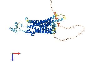 AlphaFold protein structure predicition of Human Recombinant QRFPR Protein, UniprotID Q96P65 (QRFPR Protein (AA 1-431) (His tag))