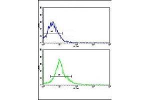 Flow Cytometry (FACS) image for anti-Autocrine Motility Factor Receptor (AMFR) (AA 571-601) antibody (ABIN3030083)